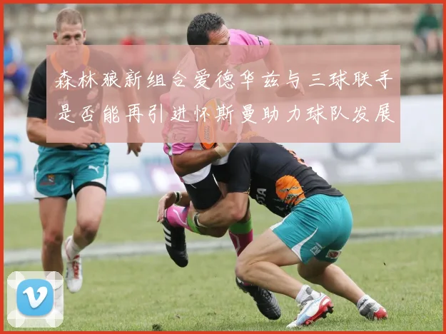 森林狼新组合爱德华兹与三球联手是否能再引进怀斯曼助力球队发展